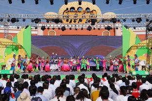 哈密吃瓜群众大会,一场全民参与的盛会