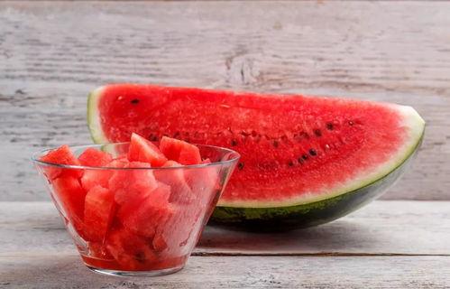 龙龙吃瓜吗,瓜界新宠，吃瓜界的风向标