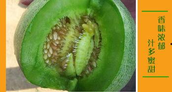 二达子吃瓜,揭秘娱乐圈幕后故事