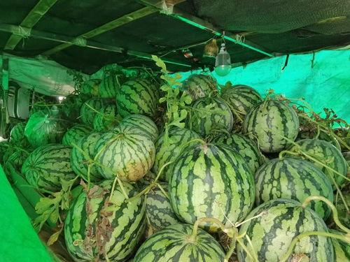 太原市民吃瓜,街头巷尾的清凉一夏