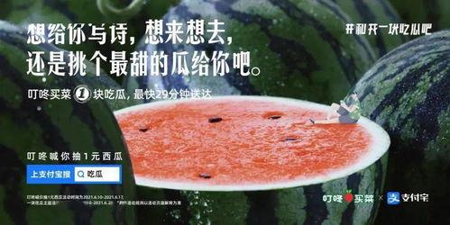 朋友给我吃瓜文案,揭秘朋友圈那些令人捧腹的“吃瓜”瞬间